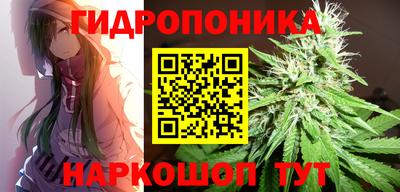 дмт Краснознаменск