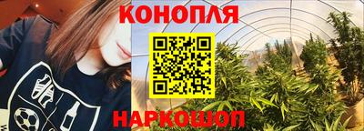 дмт Краснознаменск