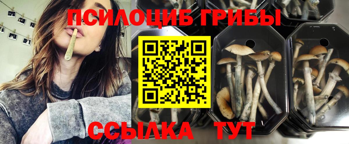 Галлюциногенные грибы прущие грибы  Вход с VPN  Дзержинский 